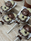 Chocolade lollypop